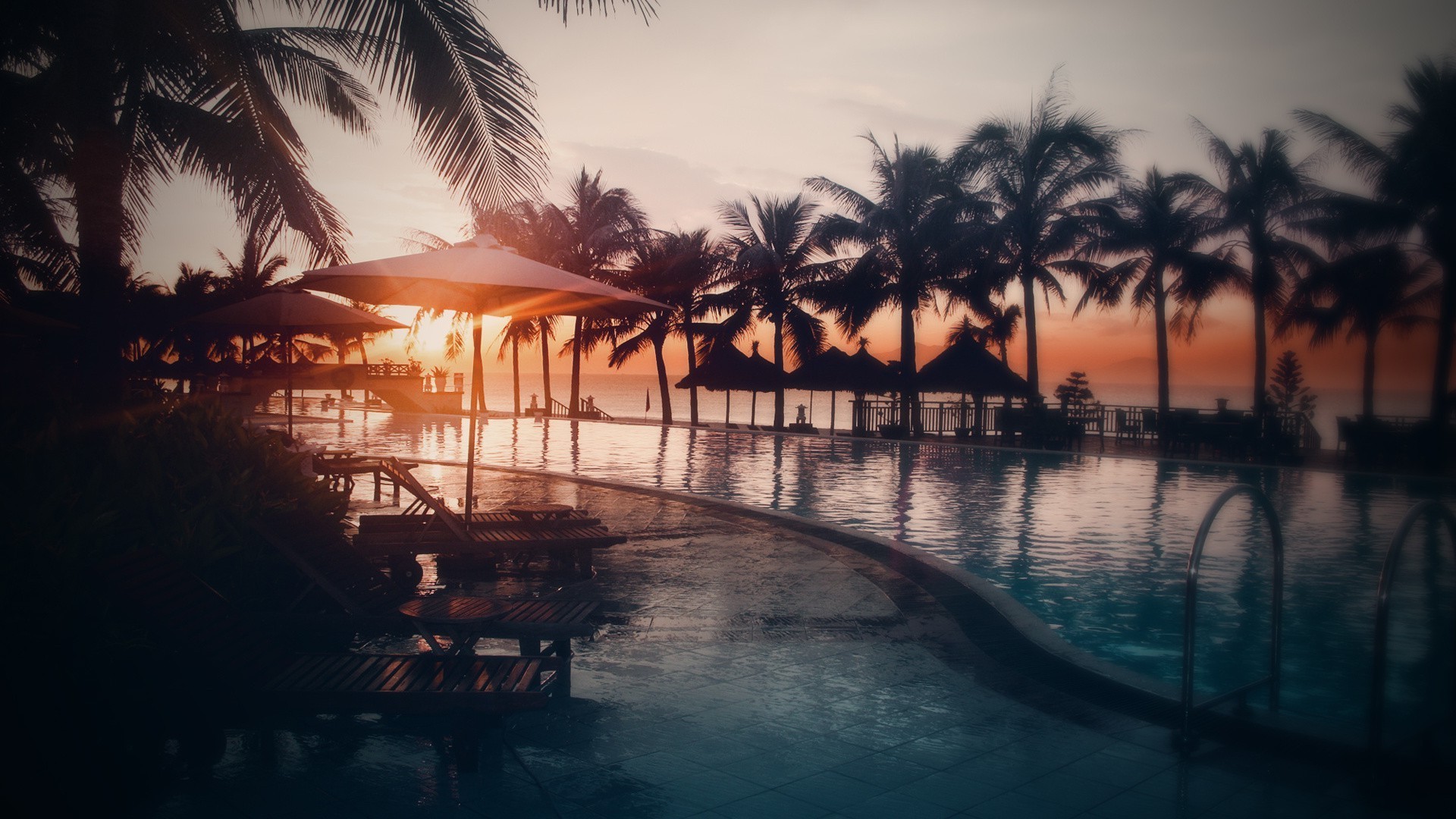 nature, Swimming Pool, Sunset, Palm Trees, Sunlight Wallpapers HD