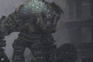 Shadow Of The Colossus, Video Games