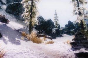 The Elder Scrolls V: Skyrim, Multiple Display, Mods, Landscape, Snow, Mountain