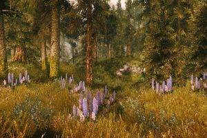 The Elder Scrolls V: Skyrim, Multiple Display, Mods, Landscape, Grass