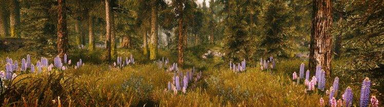 The Elder Scrolls V: Skyrim, Multiple Display, Mods, Landscape, Grass HD Wallpaper Desktop Background