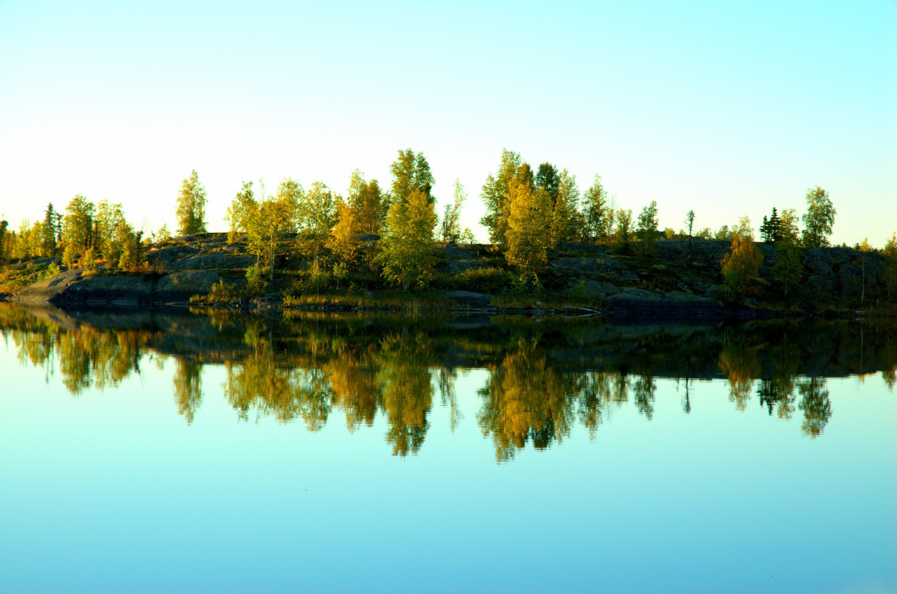 nature, Lake, Trees, Reflection, Calm Wallpaper