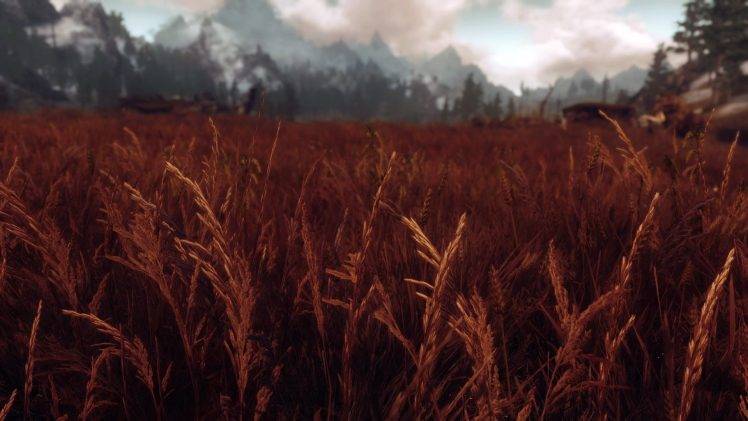 The Elder Scrolls V: Skyrim, Landscape, Rye HD Wallpaper Desktop Background