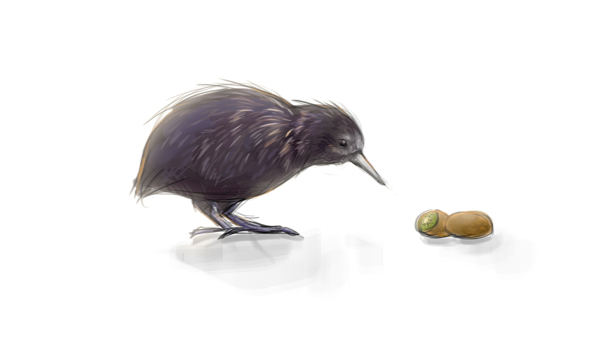 kiwi (animal), Birds, Kiwi (fruit) Wallpaper