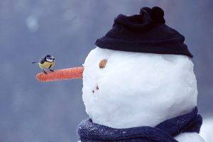 winter, Snow, Snowmen, Birds, Nature, Carrots, Simple Background, Nuts, Titmouse