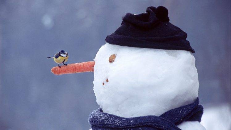 winter, Snow, Snowmen, Birds, Nature, Carrots, Simple Background, Nuts, Titmouse HD Wallpaper Desktop Background