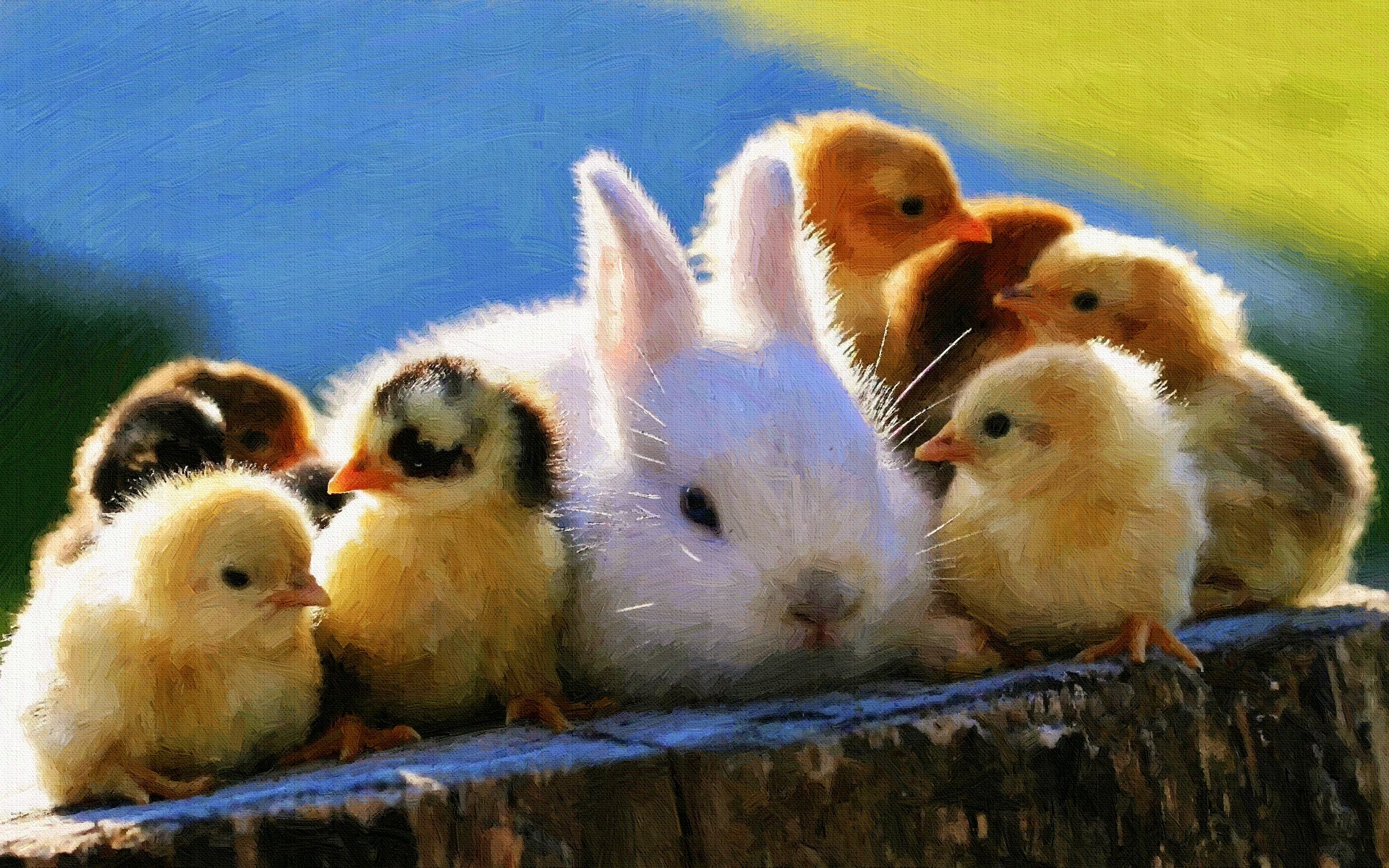 baby Animals, Rabbits, Chickens, Birds, Painting Wallpaper