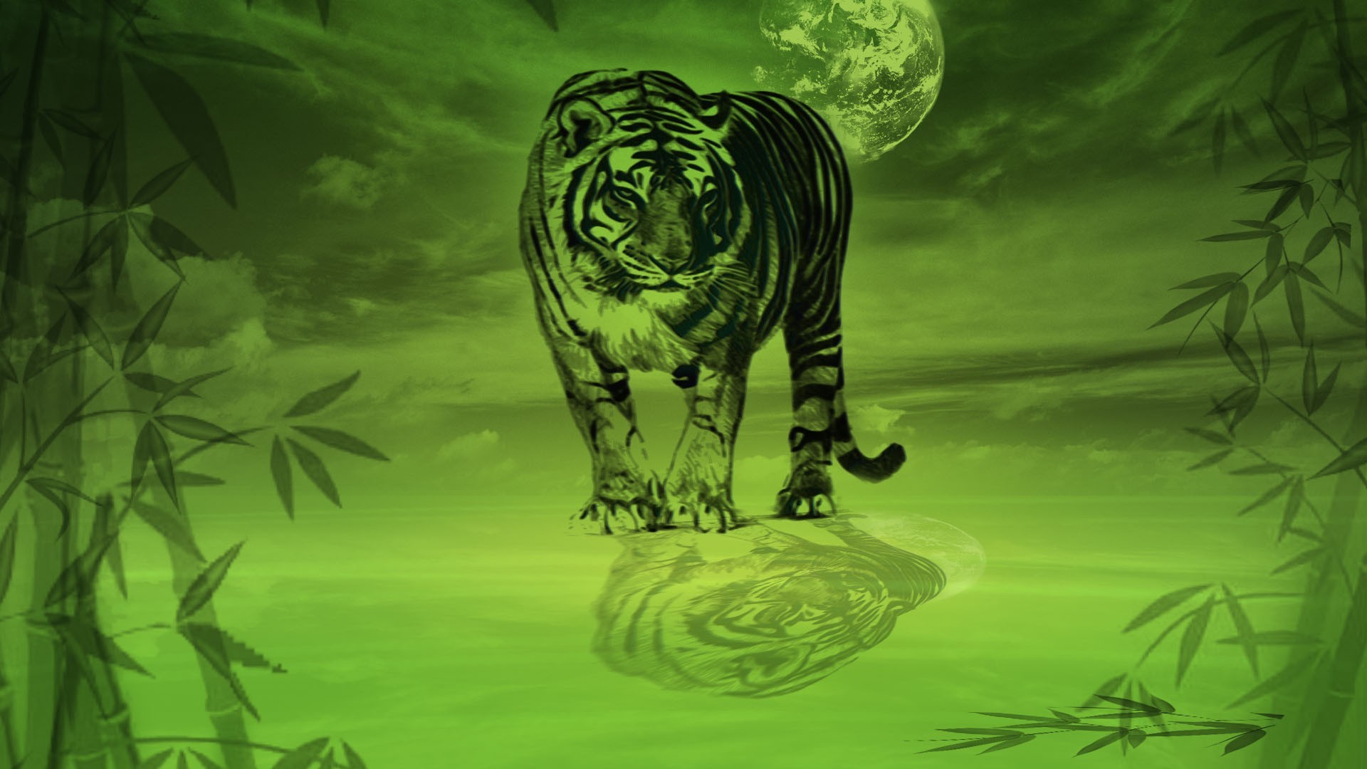 big Cats, Tiger, Nature, Bamboo, Reflection, Green Wallpaper