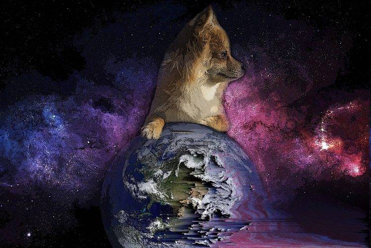 pixel Sorting, Earth, Animals HD Wallpaper Desktop Background