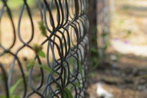 nature, Fence, Depth Of Field