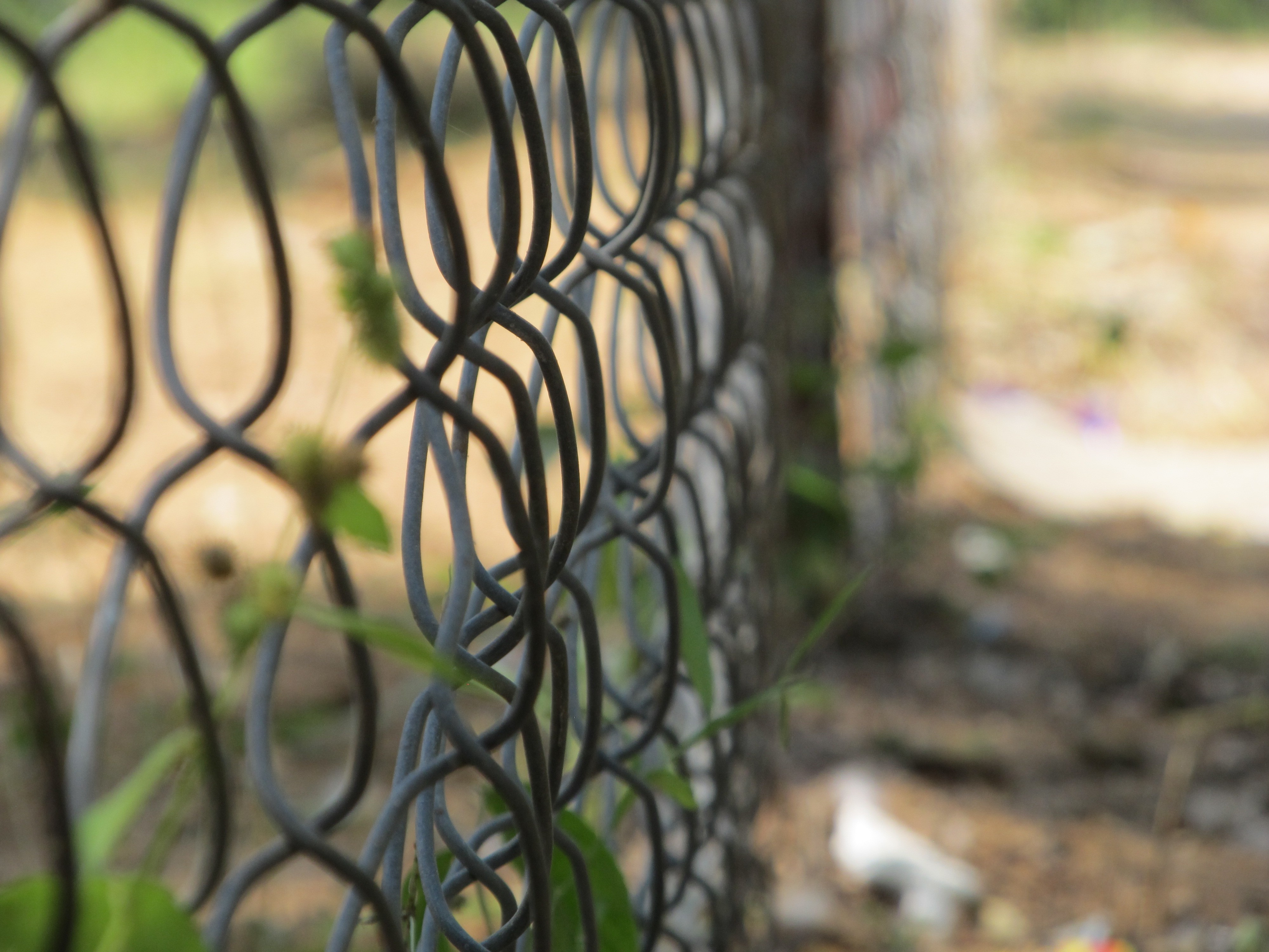 nature, Fence, Depth Of Field Wallpaper