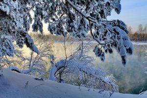 winter, Landscape, Trees