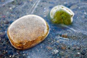 pebbles, Rock, Nature, Macro, Water