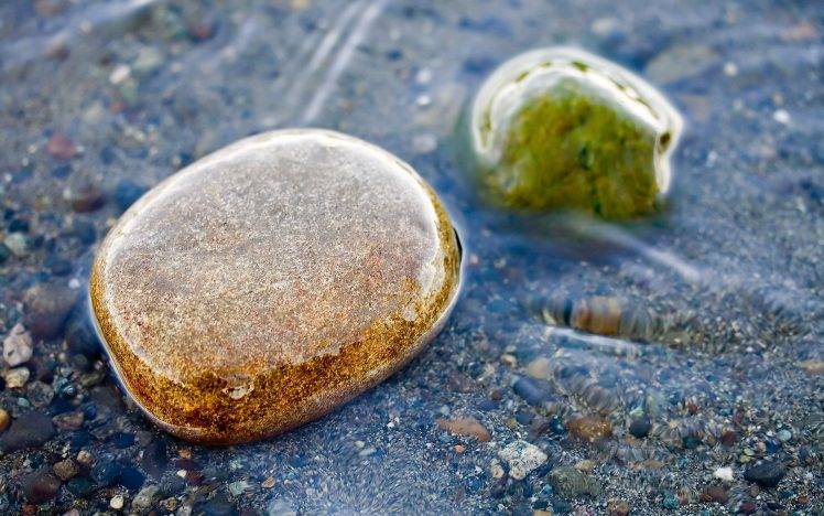 pebbles, Rock, Nature, Macro, Water HD Wallpaper Desktop Background