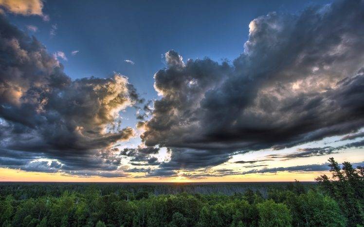 sky, Clouds, Forest, Trees, Sunset, Nature, Landscape HD Wallpaper Desktop Background