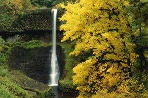 waterfall, Trees, Nature
