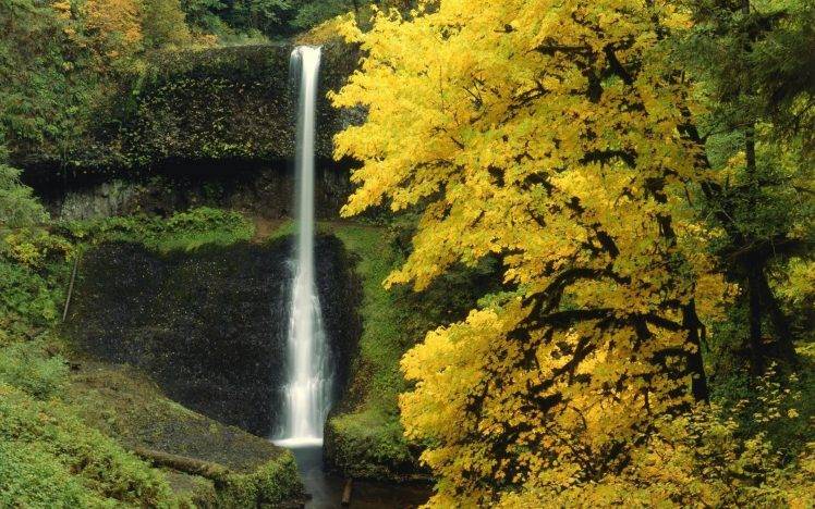 waterfall, Trees, Nature HD Wallpaper Desktop Background