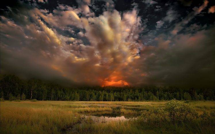 nature, Trees, Sunset, Forest, Clouds HD Wallpaper Desktop Background