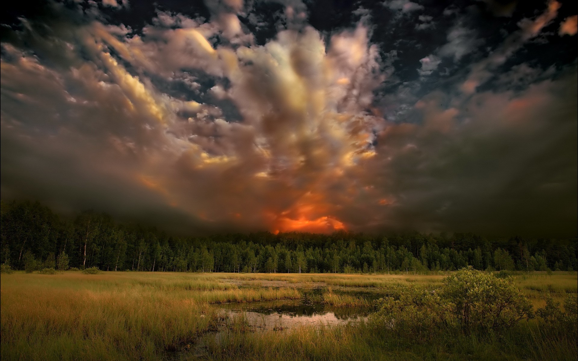 Nature, Trees, Sunset, Forest, Clouds Wallpapers Hd / Desktop And
