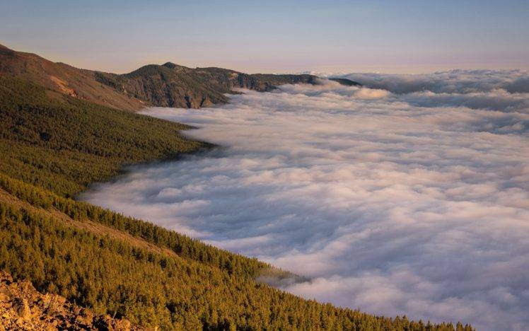 clouds, Trees, Mist, Nature HD Wallpaper Desktop Background