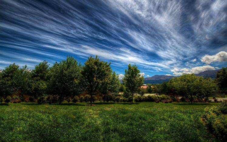 nature, Landscape, Trees, Grass, Clouds HD Wallpaper Desktop Background