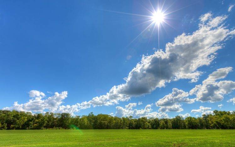 landscape, Trees, Field, Sun, Clouds HD Wallpaper Desktop Background