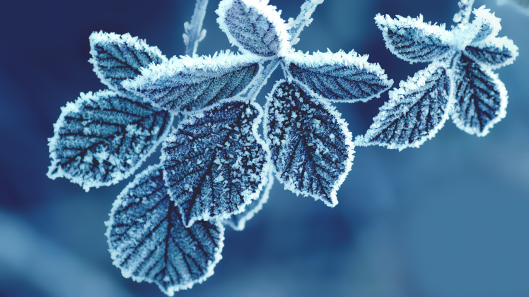 nature, Cold HD Wallpaper Desktop Background