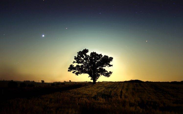 nature, Trees, Sky, Field, Night, Long Exposure, Stars, Silhouette, Grass HD Wallpaper Desktop Background