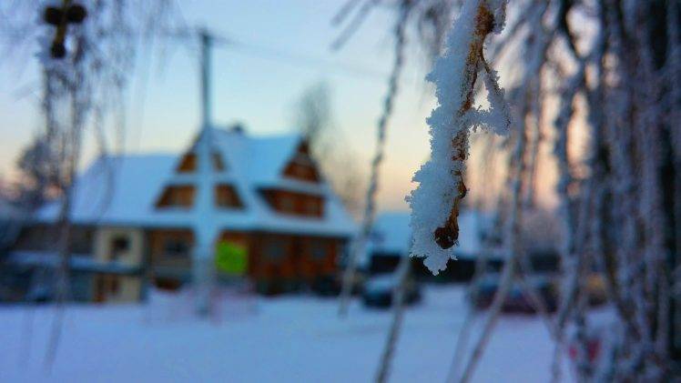 nature, Winter, Macro, Depth Of Field, Branch, Snow, Zakopane HD Wallpaper Desktop Background