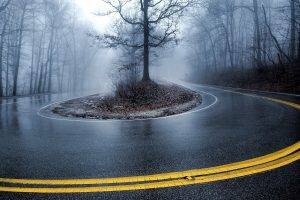 road, Mist, Trees, Nature