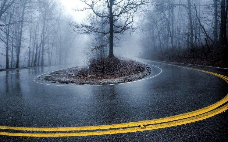 road, Mist, Trees, Nature HD Wallpaper Desktop Background