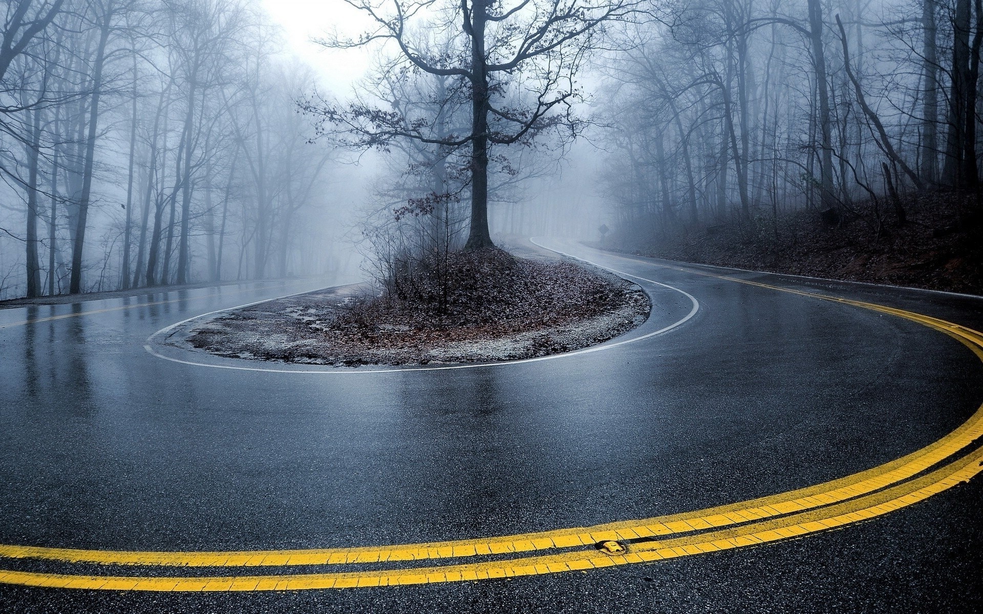 road, Mist, Trees, Nature Wallpaper
