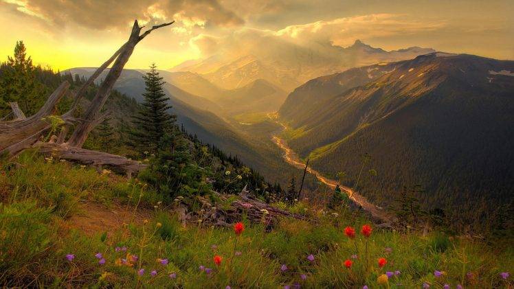 mountain, Flowers, Grass, Trees, Clouds HD Wallpaper Desktop Background