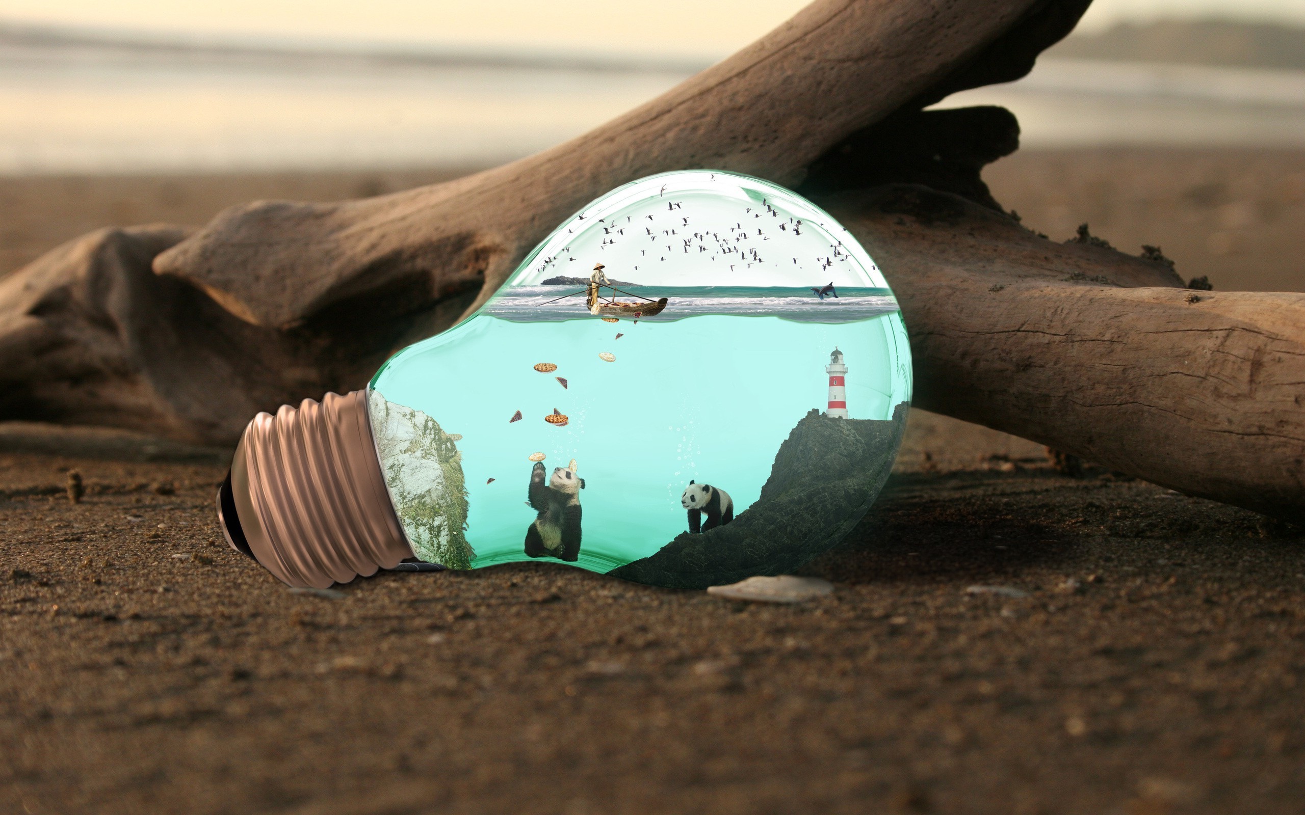 water, Photo Manipulation, Light Bulb, Wood, Beach, Sand, Macro, Nature, Sea Wallpaper
