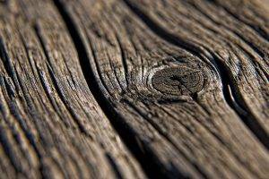 wood, Texture, Macro, Nature, Wooden Surface