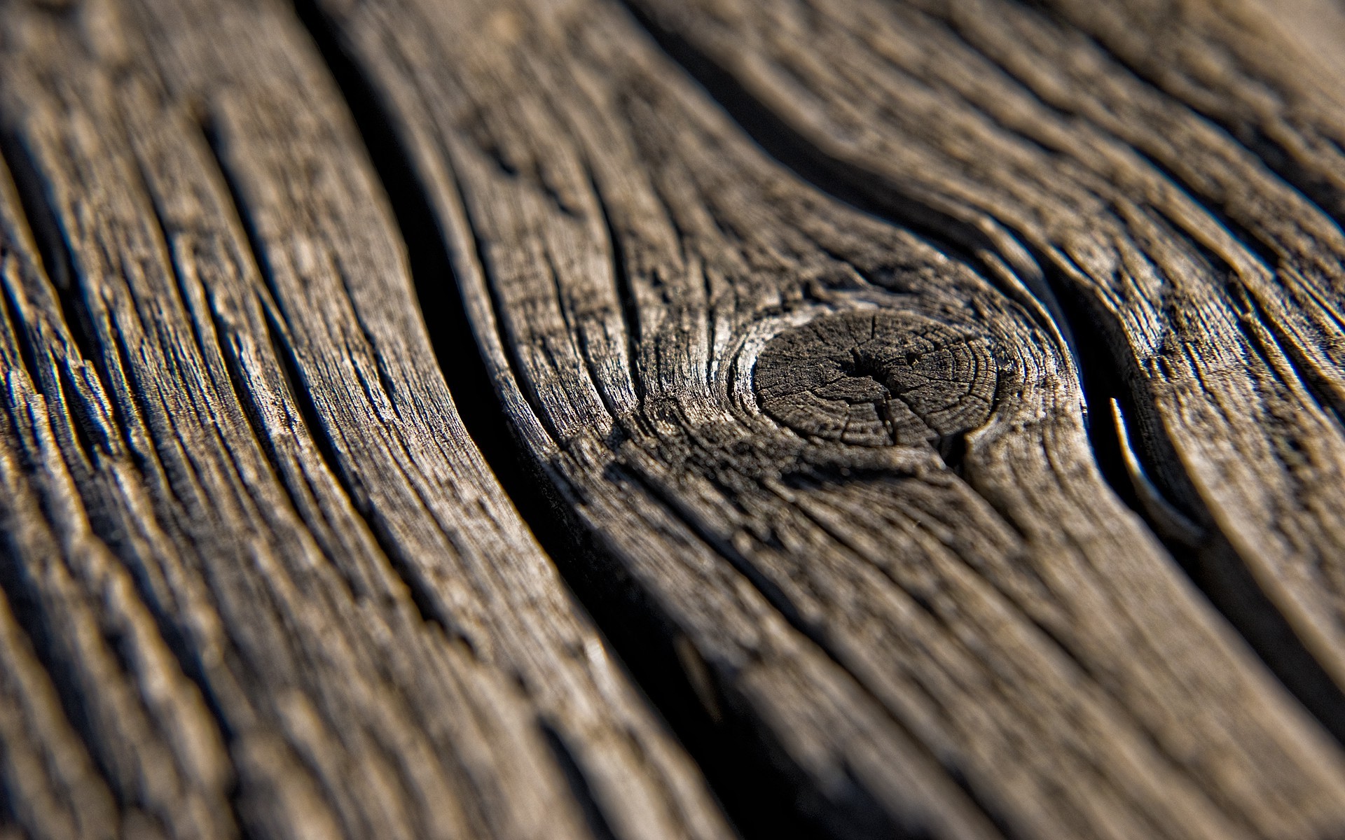 wood Texture  Macro  Nature Wooden Surface Wallpapers HD 