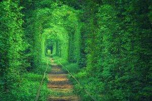 green, Tunnel, Path, Nature, Forest, Trees