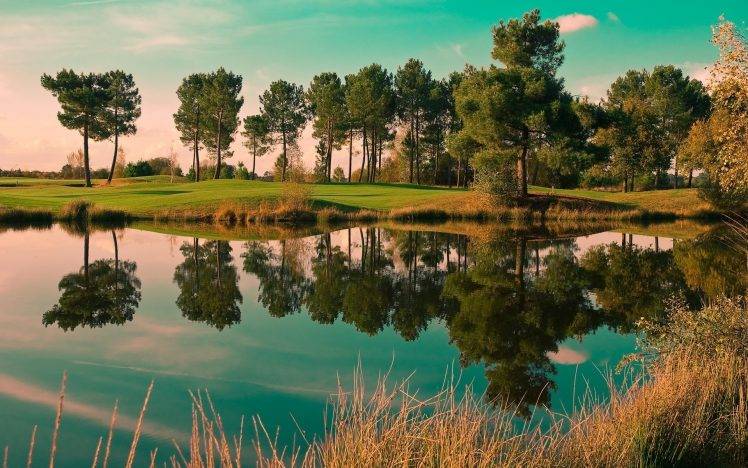 nature, Landscape, Reflection, Trees, Pond HD Wallpaper Desktop Background