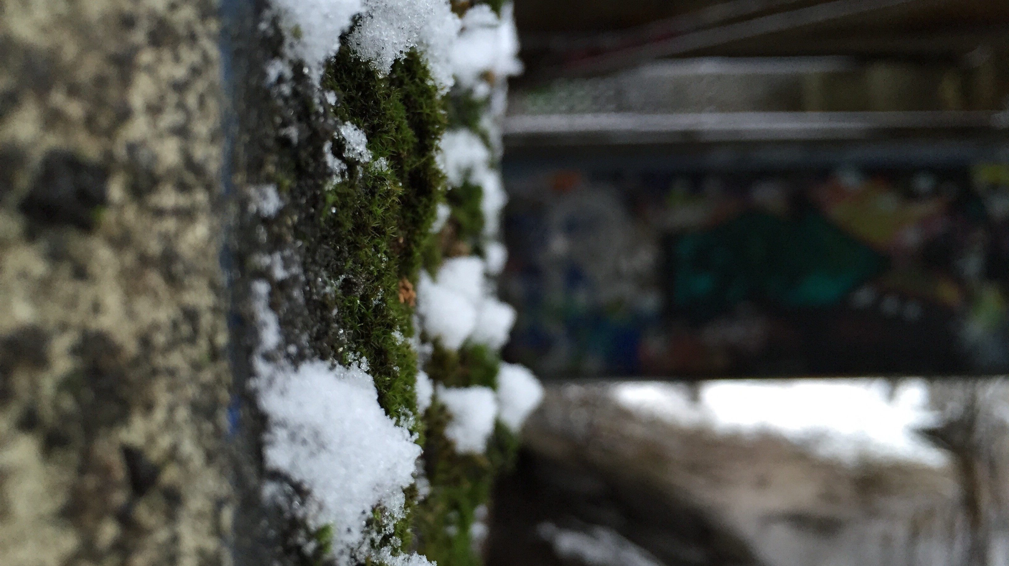 nature, Snow Wallpaper