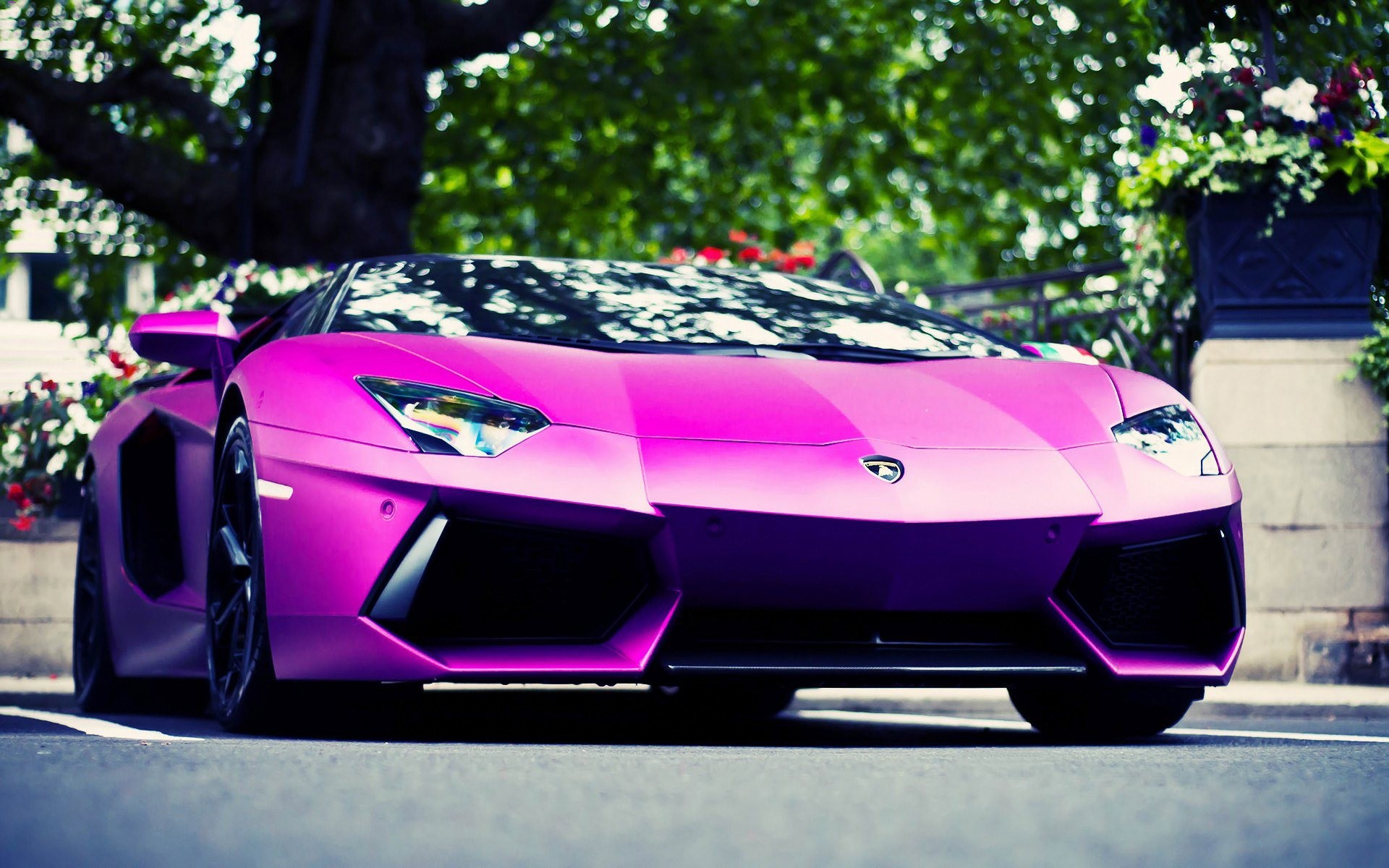 car, Purple, Lamborghini Wallpaper