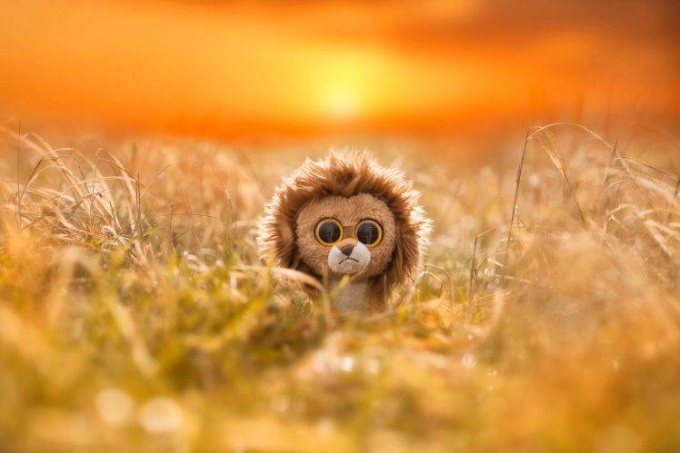 nature, Animals, Lion, Toys, Eyes, Sad, Field, Sun, Depth Of Field, Zebras HD Wallpaper Desktop Background