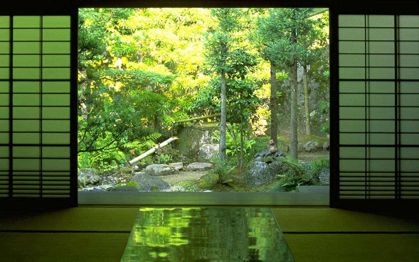 zen, Nature, Forest Wallpapers HD