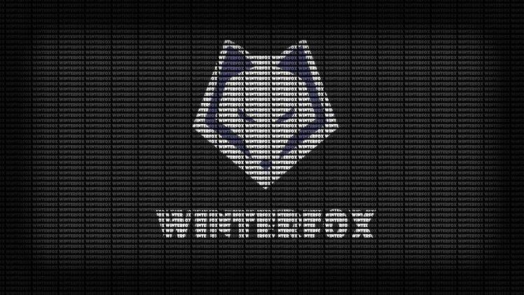 League Of Legends, Winterfox HD Wallpaper Desktop Background