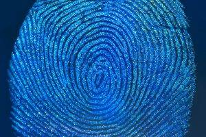 minimalism, Fingerprints, Abstract, Blue Background