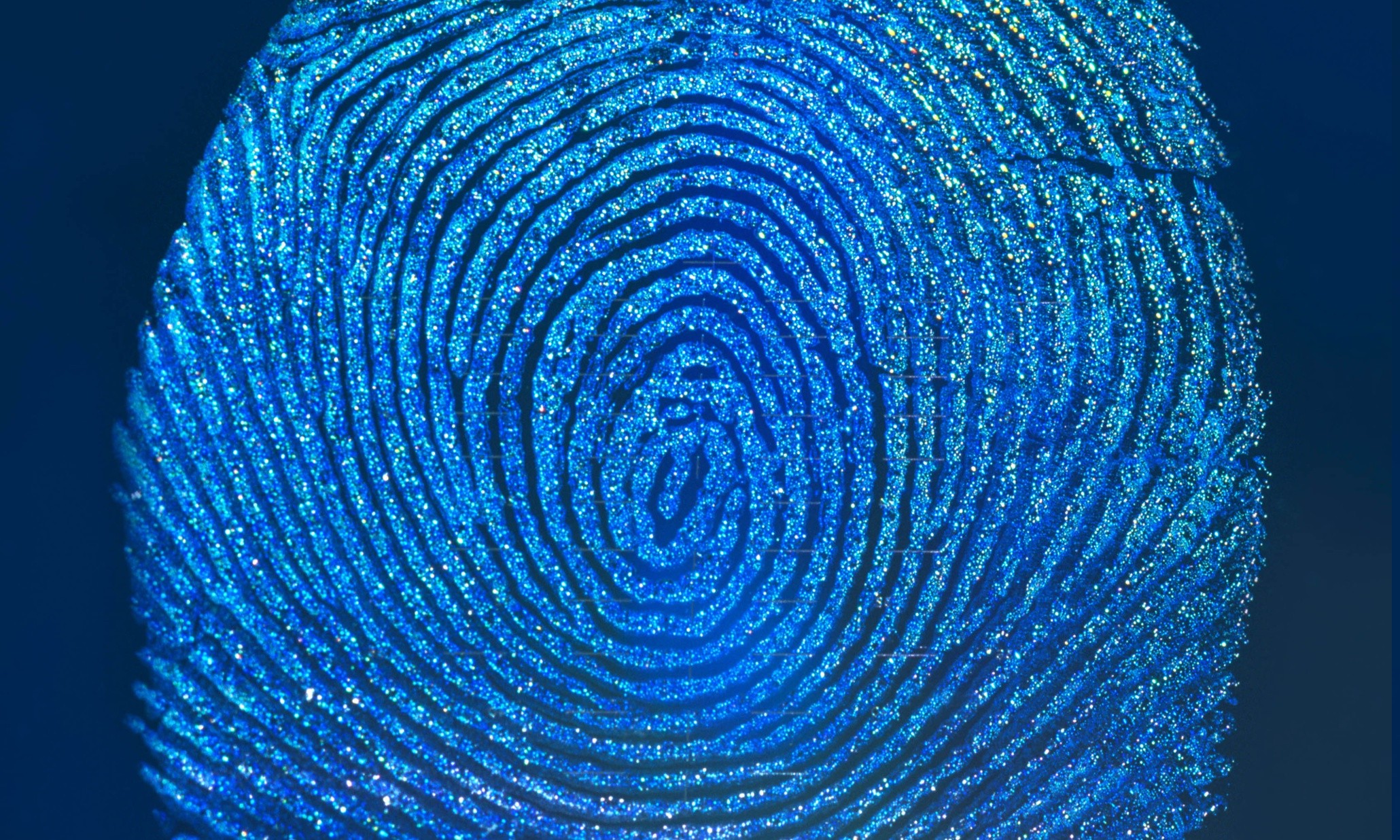 minimalism, Fingerprints, Abstract, Blue Background Wallpaper