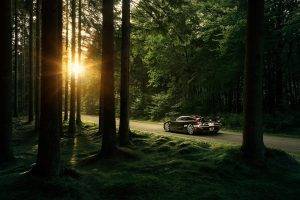 nature, Trees, Forest, Sunlight, Sun, Koenigsegg, Road, Koenigsegg CCXR