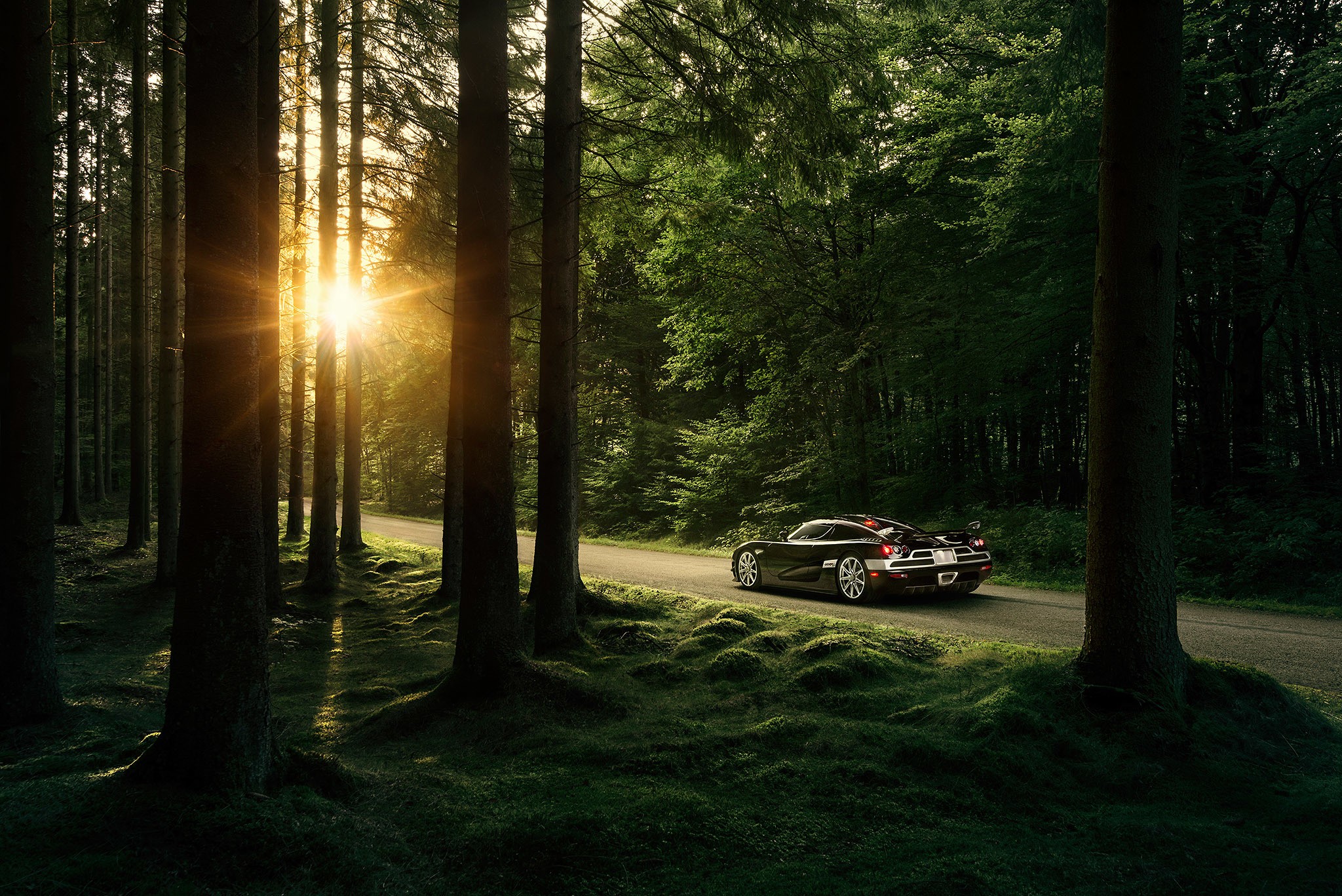 nature, Trees, Forest, Sunlight, Sun, Koenigsegg, Road, Koenigsegg CCXR Wallpaper