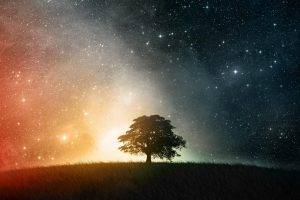 space, Simple, Trees, Stars