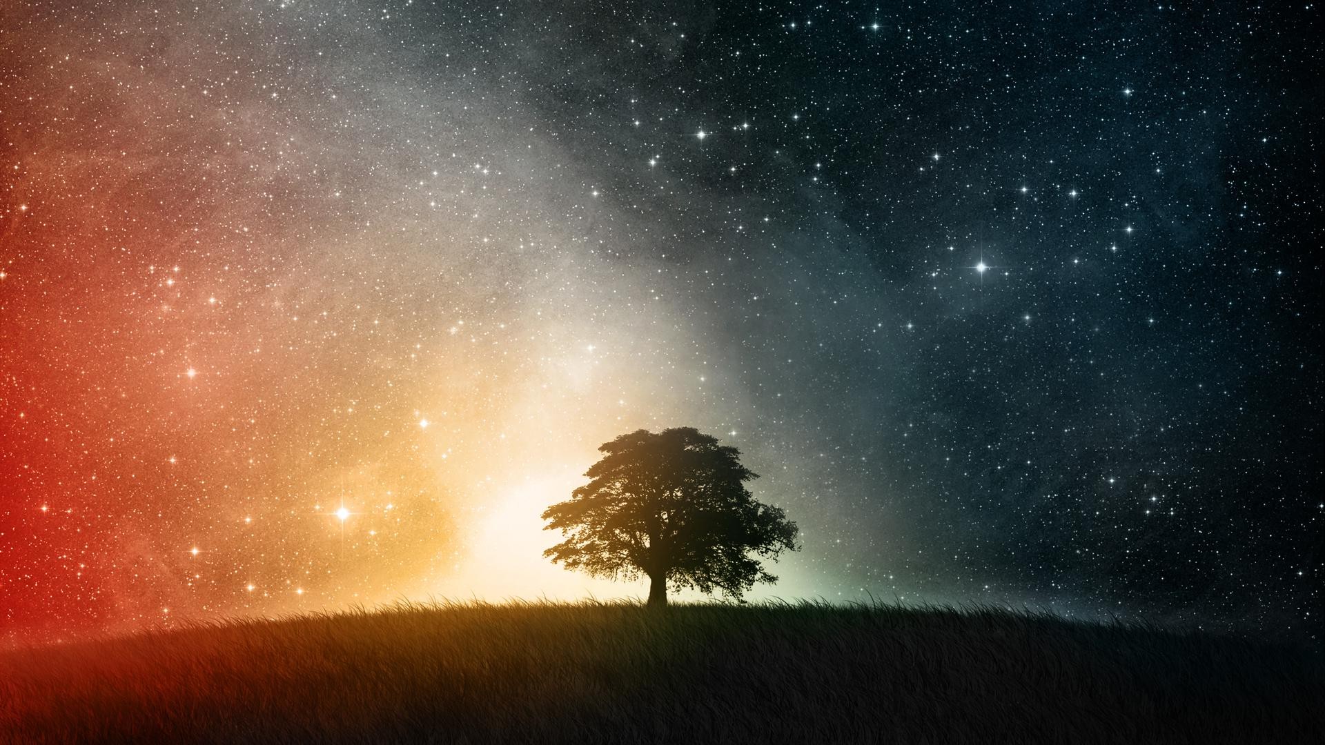 space, Simple, Trees, Stars Wallpaper