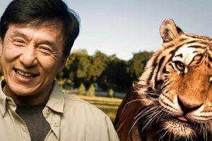 men, Actor, Jackie Chan, Smiling, Animals, Tiger